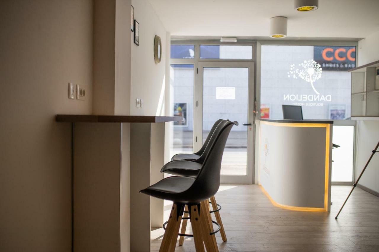 Dandelion Hostel Zadar Buitenkant foto